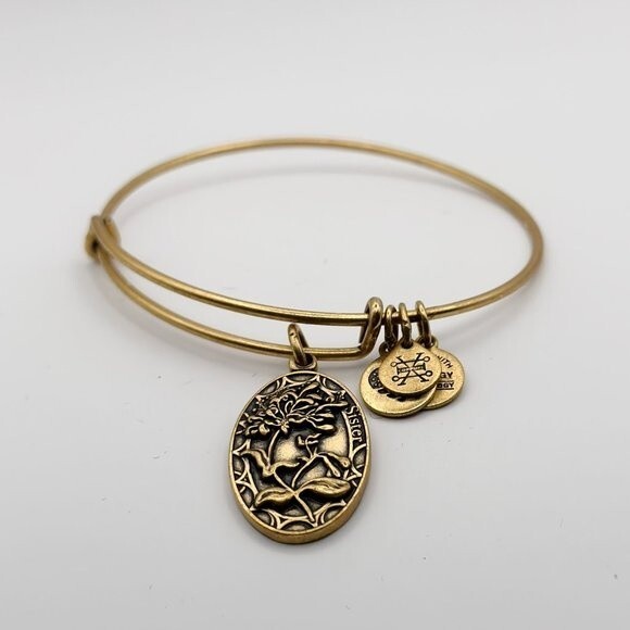 Alex an Ani Sister Irreplaceable Forever Friend 2018 Expandable Bangle Bracelet - Picture 2 of 3